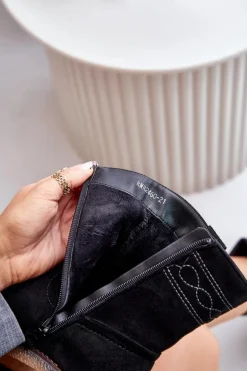 Ocieplane Botki Damskie Na Obcasie Słupku Czarne Vailia