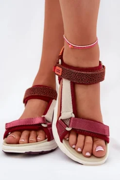 Sandały Damskie Na Rzepy D.Franklin DFSH406003 Bordowe