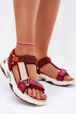 Sandały Damskie Na Rzepy D.Franklin DFSH406003 Bordowe