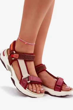 Sandały Damskie Na Rzepy D.Franklin DFSH406003 Bordowe