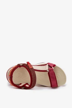 Sandały Damskie Na Rzepy D.Franklin DFSH406003 Bordowe