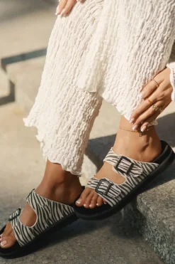 Zamszowe Klapki Damskie Z Klamrami D.Franklin DFSH405002 Zebra